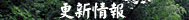 星野村の更新情報